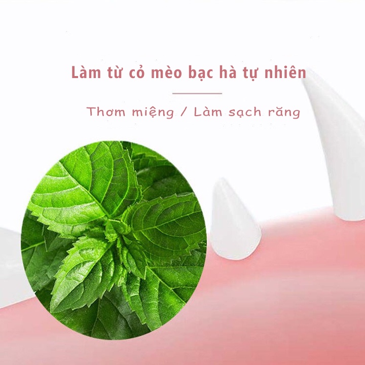 Đồ Chơi Cho Mèo Cỏ Mèo Catnip Dạng Bóng Xoay Tròn #MintPet