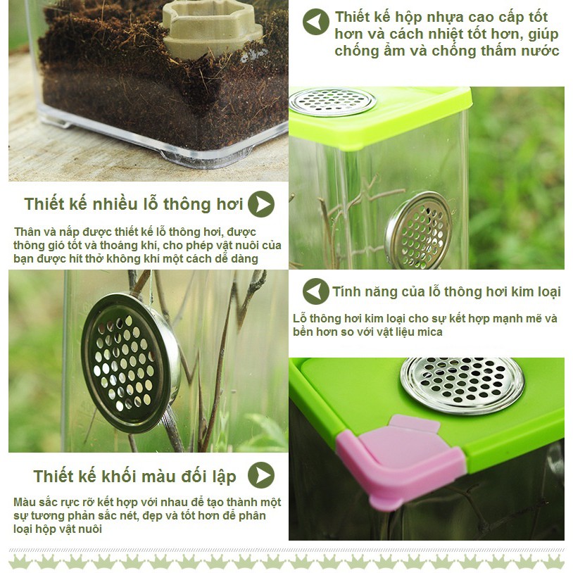 Tank nuôi nhện bọ cạp rết vật nuôi nhỏ