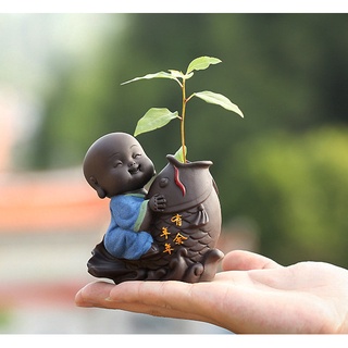 Chậu chú tiểu phát tài