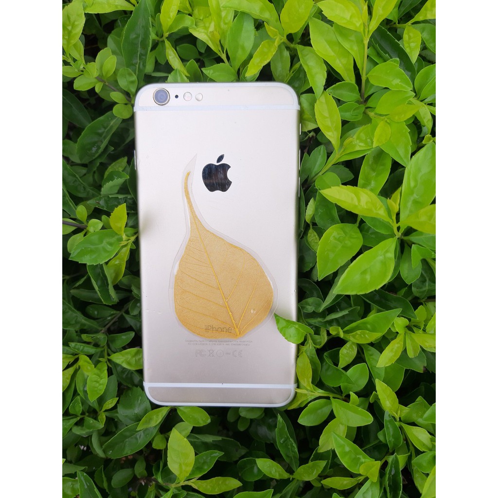 Lá Bồ Đề dát vàng tự nhiên