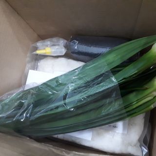 Nửa kí hạt é loại ngon