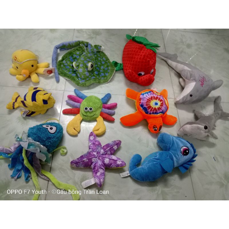 Gấu bông con vật biển