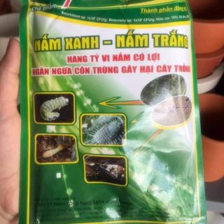 Chế phẩm nấm xanh nấm trắng