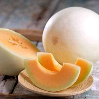 Hạt giống dưa lê cẩm ngọc cam Thái Lan