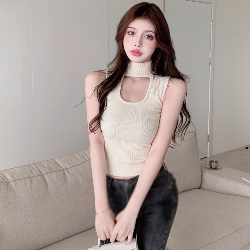 Áo Croptop Dệt Kim Sát Nách Cổ Lọ Màu Sắc Đơn Giản Nhẹ Nhàng Cho Nữ