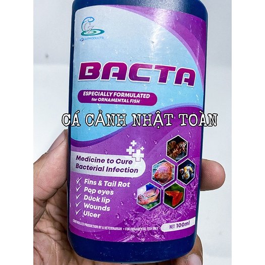 BACTA CZ8 TRỊ NẤM CHO TẤT CẢ LOẠI CÁ THÁI LAN 100ML