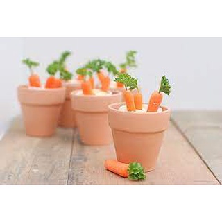 Hạt Giống Củ Cà Rốt Mini