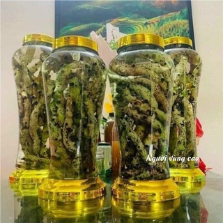 Cốt Toái Bổ - Hàng Tươi [Combo 3-5Kg] (Cây Tắc Kè Đá Rừng)