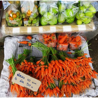 Hạt Giống Cà Rốt Mini