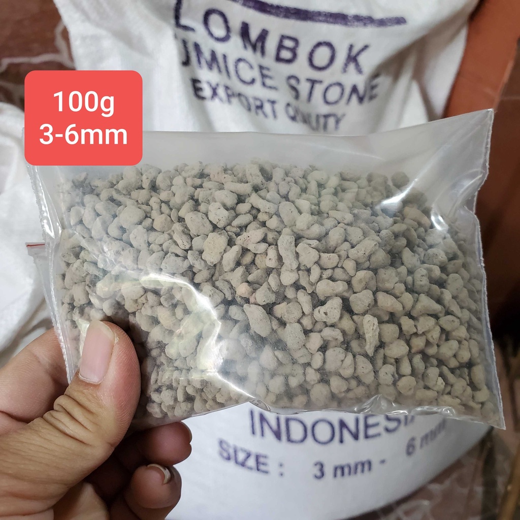 Đá pumice nhập khẩu siêu tốt sen đá và xuong rồng