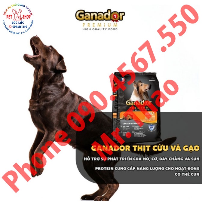 MUA 11 TẶNG 1 [10kg] Thức ăn cho chó trưởng thành vị thịt cừu &amp; gạo Ganador with Lamb &amp; Rice