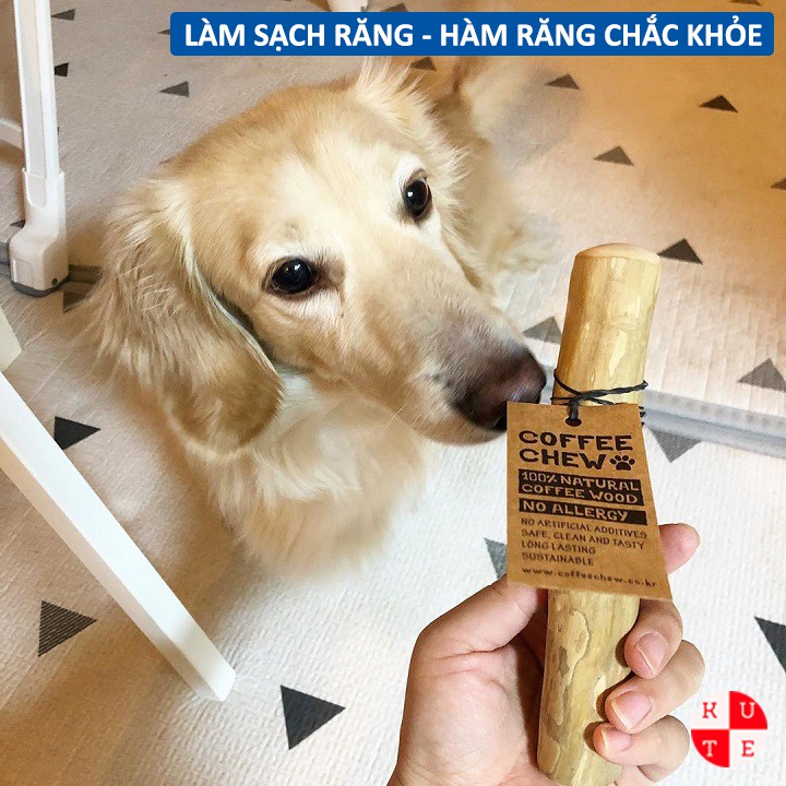 Coffe Wood Chew Xương Chó Làm Bằng Thanh Gỗ Cà Phê Tự Nhiên Dành Cho Chó Mèo Gặm Sản Phẩm Xuất Hàn Nhật Âu Mỹ