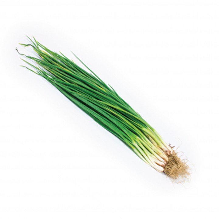 Hạt Giống Hành Lá Gốc Trắng PN-02 Phú Nông - 2g