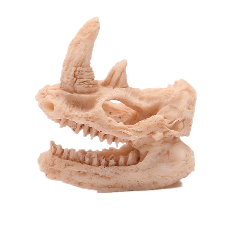 Đồ Trang Trí Bể Cá Hình Khủng Long, Cừu, Đầu Lâu Tê Giác