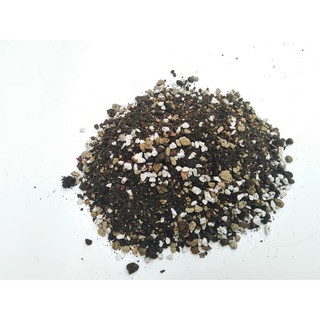 Giá thể trồng xương rồng và sen đá SOIL MIX bịch 6 kg