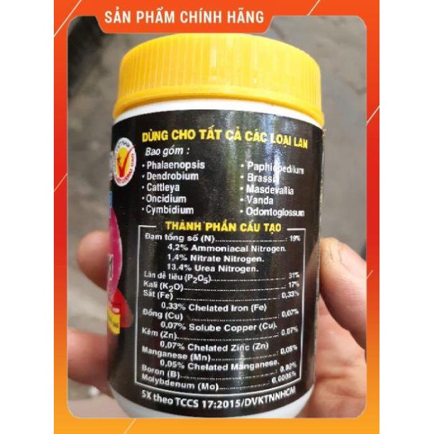 Phân bón lá Phong lan 19- 31-17 HVP 1601WP lọ 100gam.