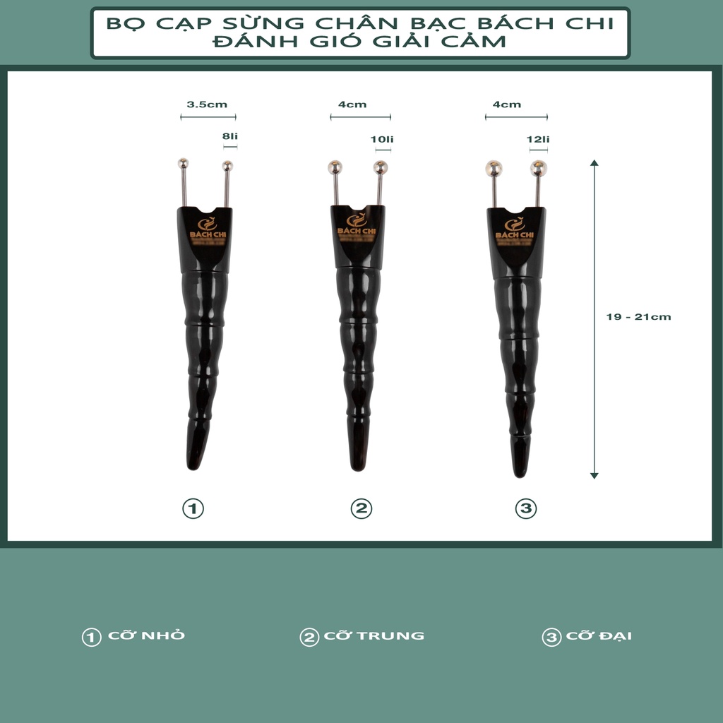 Bọ cạp sừng đầu bạc Bách Chi đánh gió giải cảm