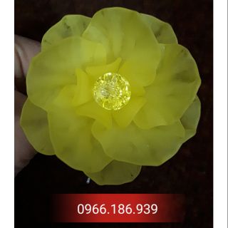Combo nguyên liệu hoa lan hồ điệp vàng