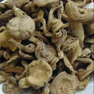 100g Nấm Tràm Khô