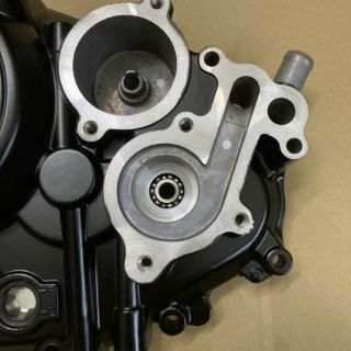 Nắp lốc máy Suzuki Satria - Raider