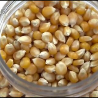 1KG NGÔ MỸ LÀM BẮP RANG BƠ