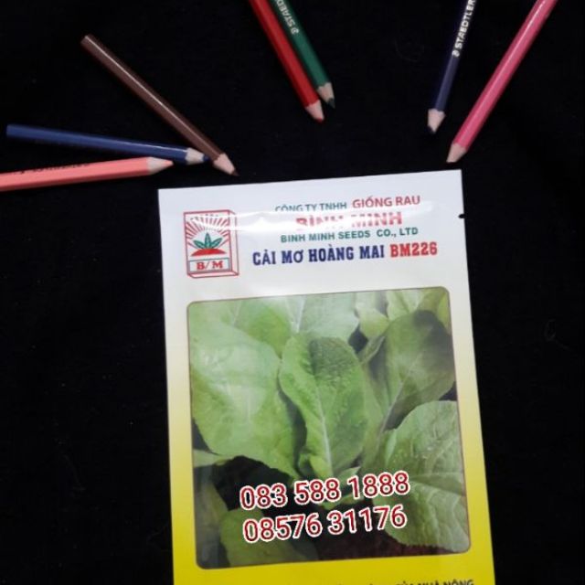 Cải mơ Hoàng Mai