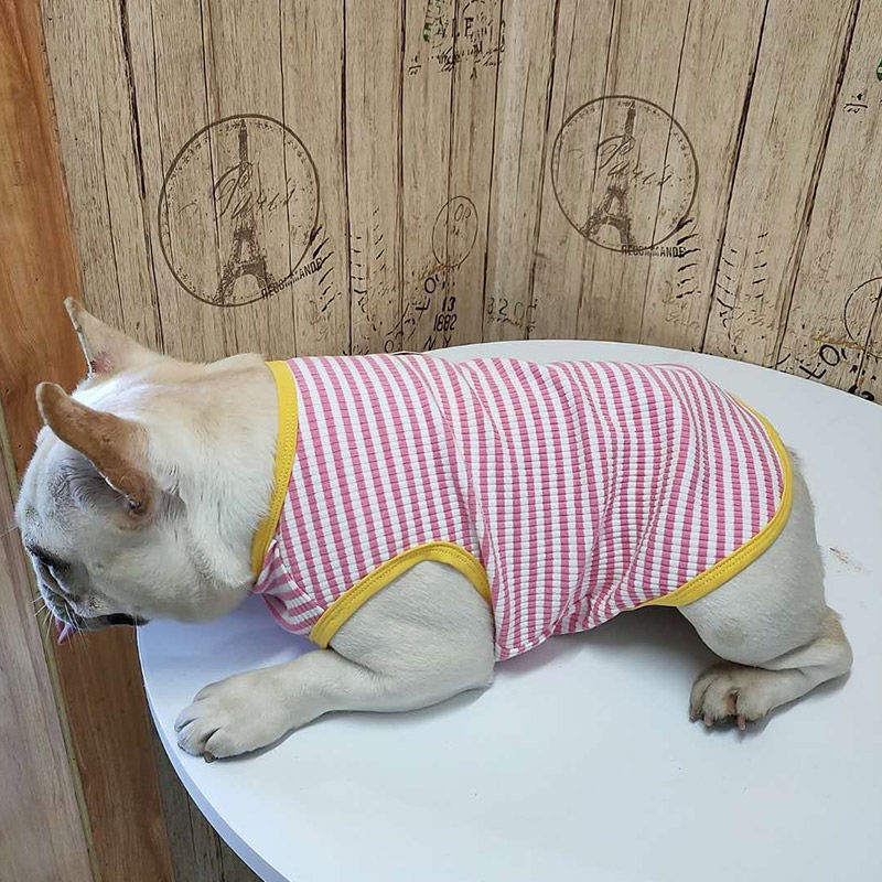 Áo vest dành cho chó Pug và béo đặc biệt đấu pháp, vải cotton mỏng co giãn mùa xuân hè chống bay màu Quần thú