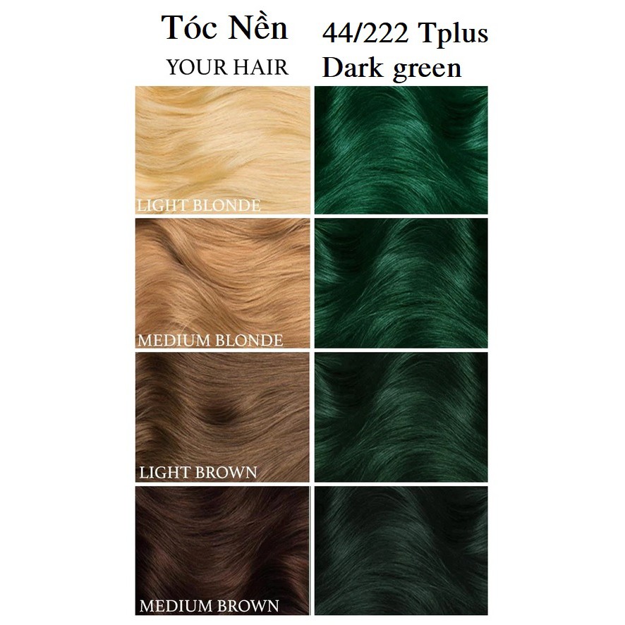 Thuốc Nhuộm Tóc Màu Xanh Rêu Đá Tplus 44/222 Peacock Green Hair Dye