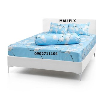 Bộ ga gối cotton nhiều mẫu