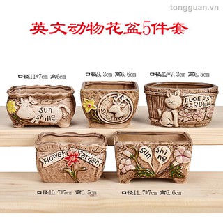 Chậu Cây Cảnh Bằng Gốm Kiểu Dáng Đơn Giản Xinh Xắn