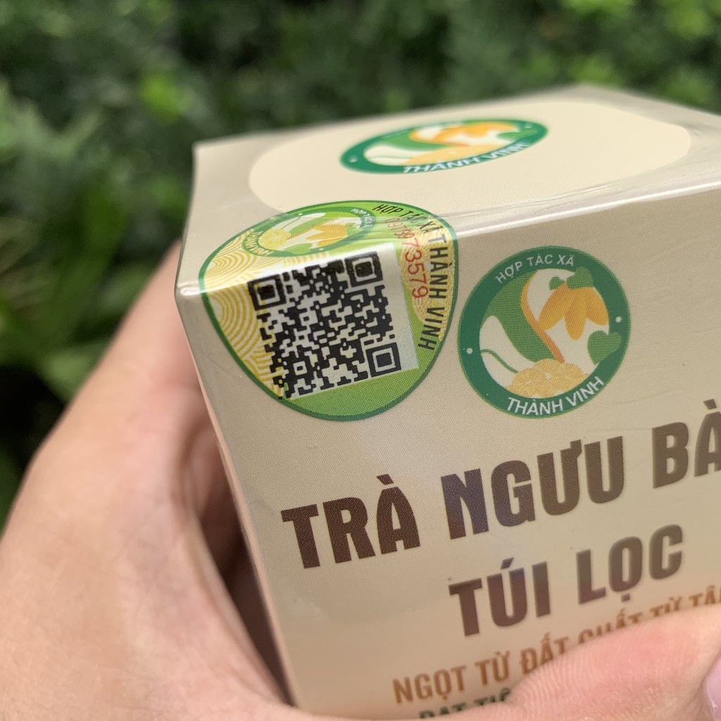 Trà ngưu bàng túi lọc