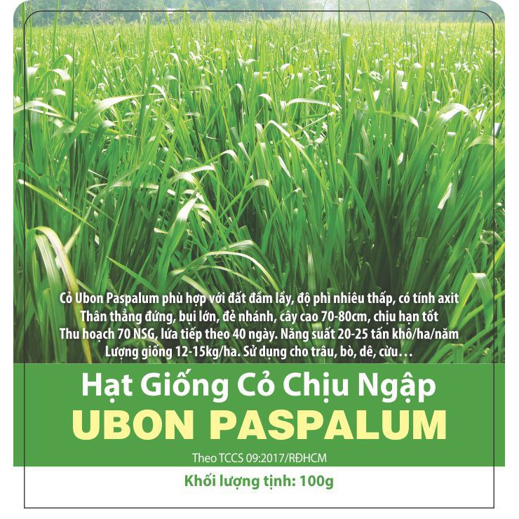 Hạt giống cỏ Ubon Paspalum - Cỏ xả chịu ngập gói 1kg