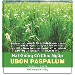 Hạt giống cỏ Ubon Paspalum - Cỏ xả chịu ngập - gói 500g
