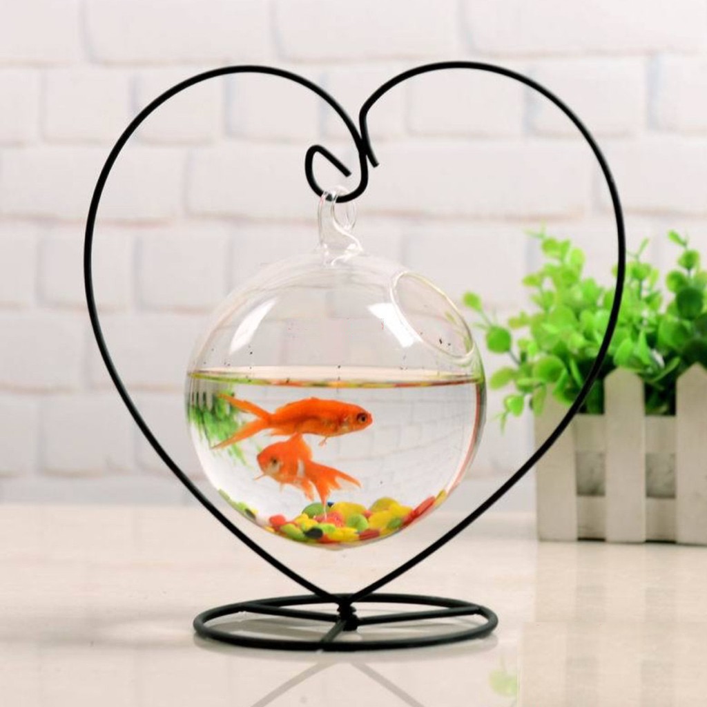 Bể cá mini để bàn treo mini KHUNG TRÁI TIM tặng phụ kiện trang trí