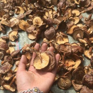 Nấm hương rừng 1kg