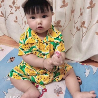 Bộ lanh lụa hoa quả -3d