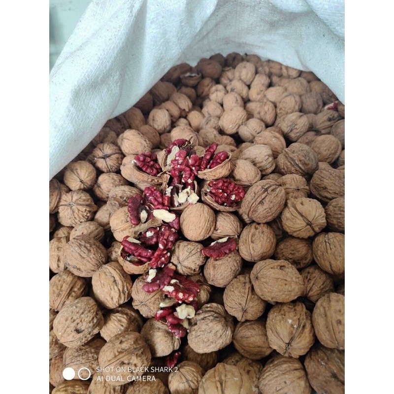 500G hạt óc chó đỏ Mỹ giàu dưỡng chất