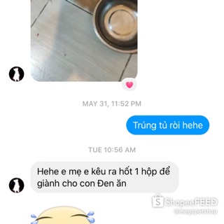 Pate Hug Thái Lan Thức Ăn Cho Chó