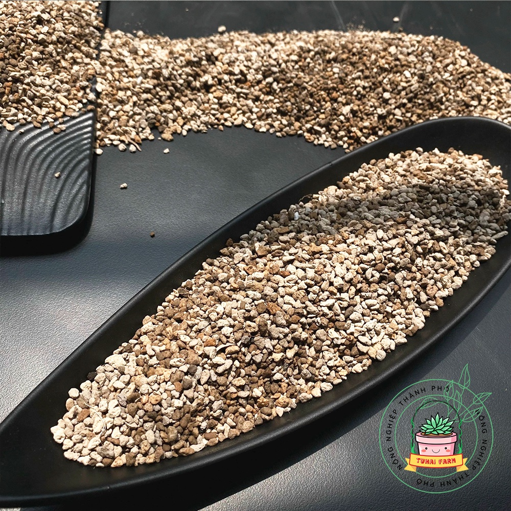 Đá Pumice Indonesia cao cấp sạch bụi vụn