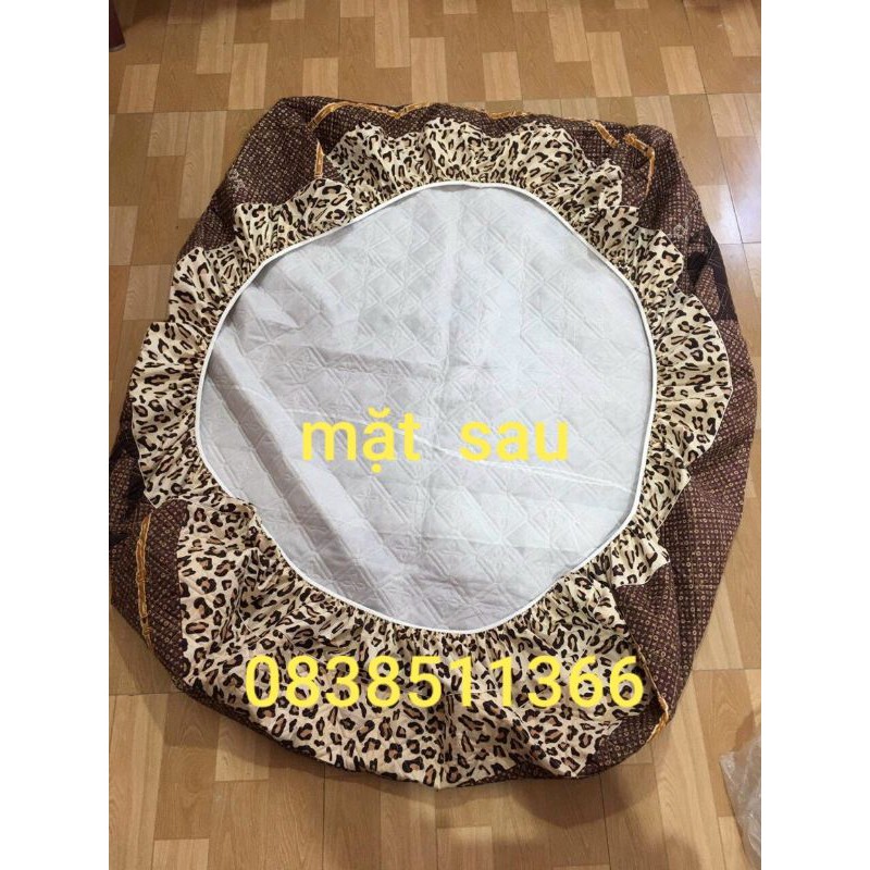 ♥️Bộ Ga Gối chun trần cotton mẫu mới