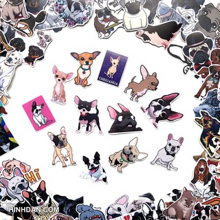 Sticker DOG - CHÓ Husky, Poodle, Samoyed decal hình dán chống nước trang trí xe, laptop, nón bảo hiểm