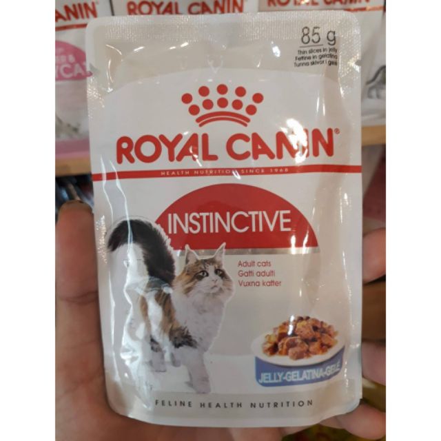 Tăjng hạt - Sốt pate Royal canin 85g đủ các loại