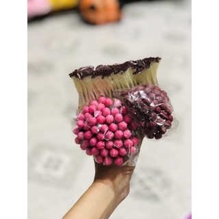 nụ hoa, lá mai đào