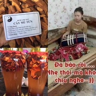 🌿 500g cây mú từn 🌿
