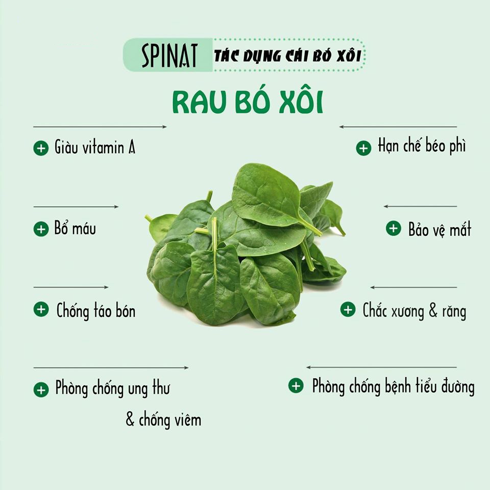 Spinach powder - Bột cải bó xôi SPICESUPPLY Việt Nam nguyên chất 100% sấy lạnh uống giảm cân chuẩn xuất USA Hũ 90g