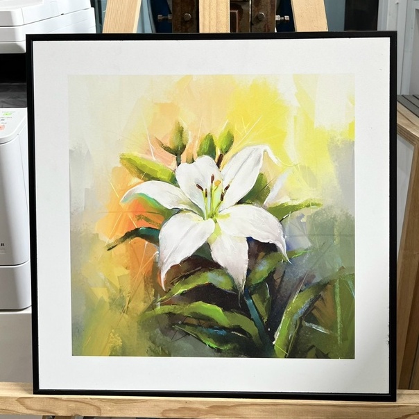 Tranh Hoa ly - Tranh treo tường- Đơn Giản, Sang Trọng, 40x40cm.