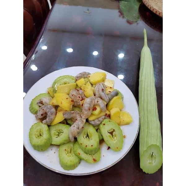 💥 Hạt giống Dưa Chuột Rắn Mỹ  siêu dài 🍎 Dòn Ngon💥 độc lạ rất dễ trồng