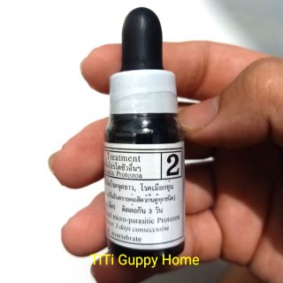 Bio Knock 2: giải pháp trị nấm của cá, chữa tất cả các loại nấm