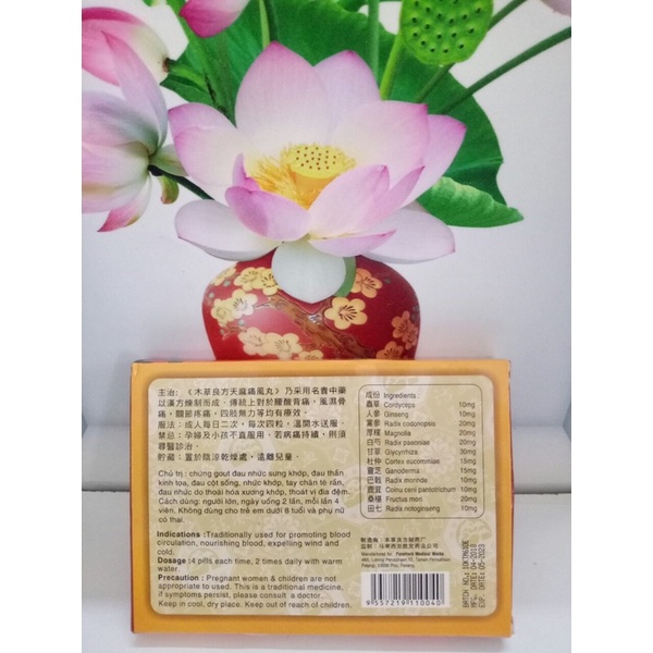 Thiên ma thống phong hoàn Malaysia