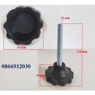 Chân tăng chỉnh bàn ghế REN M12 x 100 mm_hoa 10 cánh